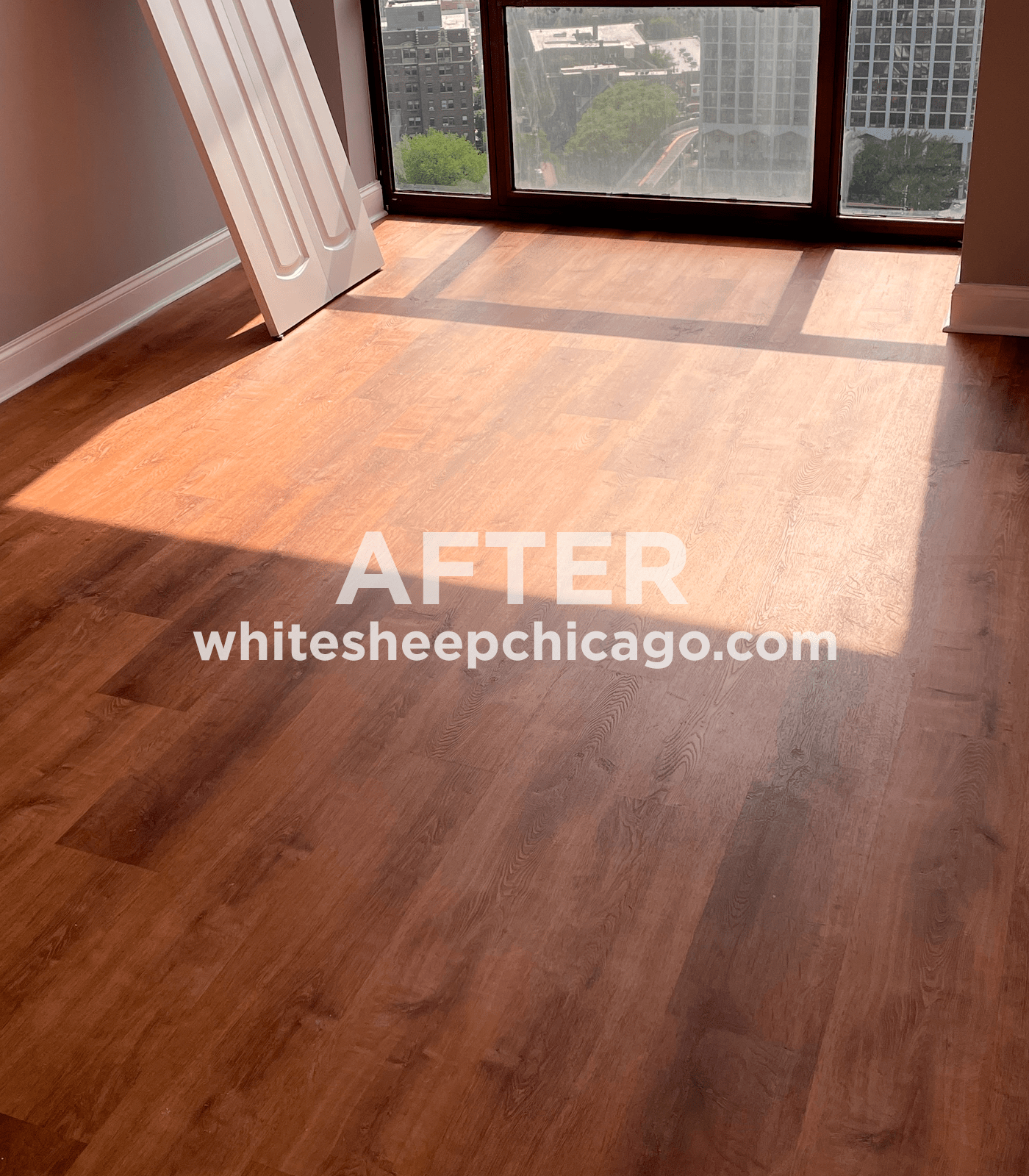 case_move_out_cleaning_buena_park_chicago_after_13