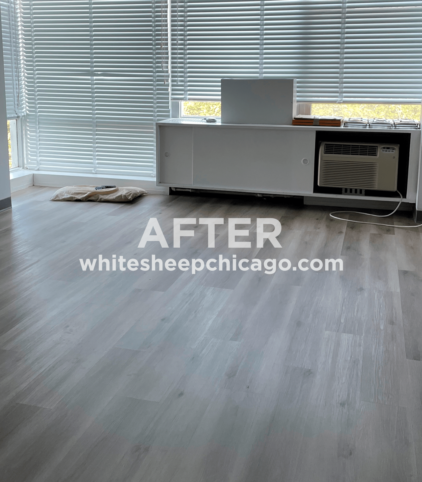 portfolio_move_out_cleaning_prairie_shores_chicago_after_2